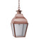 Stanfield One Light Hanging Lantern in Antique Copper (196|7632-AC-MED-SMG)