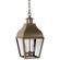 Stanfield Two Light Hanging Lantern in Dark Antique Brass (196|7632-DAB-LT2-CLR)