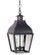 Stanfield Two Light Hanging Lantern in Dark Brass (196|7632-DB-LT2-CLR)