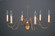 Chandelier Six Light Hanging Lantern in Dark Antique Brass (196|959-DAB-LT6)