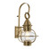 American Onion One Light Outdoor Wall Mount in Aged Brass (185|1712-AG-CL)