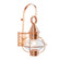 American Onion One Light Outdoor Wall Mount in Copper (185|1712-CO-CL)