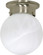 One Light Flush Mount in Brushed Nickel (72|60-6008)