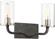 Sherwood Two Light Vanity in Iron Black / Brushed Nickel Accents (72|60-6122)