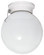 One Light Flush Mount in White (72|60-712)
