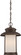 Bethany LED Outdoor Hanging Lantern in Forest Bronze (72|62-635)
