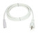 Power Cord in White (72|65-1107)