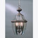 Newbury Three Light Outdoor Hanging Lantern in Medici Bronze (10|NY1179Z)