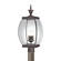 Oasis Three Light Outdoor Post Lantern in Medici Bronze (10|OAS9009Z)