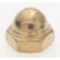 Cap Nut in Brass Plated (230|90-208) Cap Nut in Brass Plated (230|90-208)