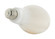 Light Bulb in White (230|S13130)