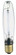 Light Bulb in Clear (230|S1941)