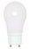 Light Bulb (230|S8225-TF)