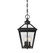 Ellijay Three Light Hanging Lantern in Black (51|5-146-BK)