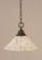 Any One Light Pendant in Dark Granite (200|10-DG-709)