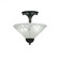 Any Two Light Semi-Flush Mount in Black Copper (200|120-BC-441)