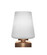 Luna One Light Table Lamp in New Age Brass (200|52-NAB-4031)
