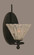 Capri One Light Wall Sconce in Dark Granite (200|591-DG-7195)