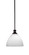 Carina One Light Pendant in Matte Black (200|76-MB-4631)
