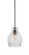 Palisade One Light Pendant in Brushed Nickel (200|81-BN-4570)