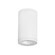 Tube Arch LED Flush Mount in White (34|DS-CD0517-S27-WT)