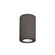 Tube Arch LED Flush Mount in Bronze (34|DS-CD05-F40-BZ)