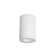 Tube Arch LED Flush Mount in White (34|DS-CD05-N40-WT)