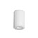 Tube Arch LED Flush Mount in White (34|DS-CD05-N930-WT)