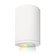 Tube Arch LED Flush Mount in White (34|DS-CD05-S-CC-WT)