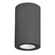 Tube Arch LED Flush Mount in Black (34|DS-CD08-F927-BK)