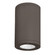 Tube Arch LED Flush Mount in Bronze (34|DS-CD08-N30-BZ)