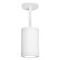 Tube Arch LED Pendant in White (34|DS-PD08-N27-WT)