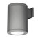 Tube Arch LED Wall Sconce in Graphite (34|DS-WS08-F930A-GH)