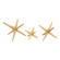 Star Jacks Decorative Object in Polished Brass (45|S0807-8741/S3)