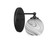Capri One Light Wall Sconce in Matte Black (200|5911-MB-4109)