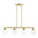 Willow Four Light Linear Chandelier in Satin Brass (107|46724-12)