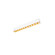 Multi Stealth LED Downlight Trimless in Gold (34|R1GDL12-S940-GL)