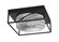 Flush Mounts Two Light Flush Mount in Matte Black (200|852-MB-9)