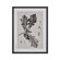 Oak Botanic Framed Wall Art in Black (45|S0056-10636)