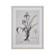 Iris Botanic Framed Wall Art in Cream (45|S0056-10633)