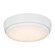 Universal LED Ceiling Fan Light Kit in Matte White (71|MC264RZW)