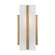 Dex LED Bath Wall Sconce in Satin Brass (454|4154301EN3-848)