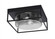 Flush Mounts Two Light Flush Mount in Matte Black (200|852-MB-2)