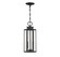 Hawthorne Two Light Outdoor Hanging Lantern in Black (159|V6-L5-5103-BK)