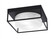 Flush Mounts Two Light Flush Mount in Matte Black (200|852-MB-1)