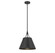 Willis One Light Pendant in Matte Black (51|7-4499-1-89)