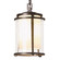 Meridian One Light Outdoor Ceiling Fixture in Coastal Bronze (39|365610-SKT-75-ZS0297)