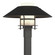 Henry One Light Outdoor Post Mount in Coastal Natural Iron (39|344227-SKT-20-80-GG0026)