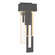 Rainfall LED Outdoor Wall Sconce in Coastal Natural Iron (39|302531-LED-RGT-20-II0597)