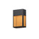 Lattice LED Outdoor Wall Sconce in Black (16|54802RABK)